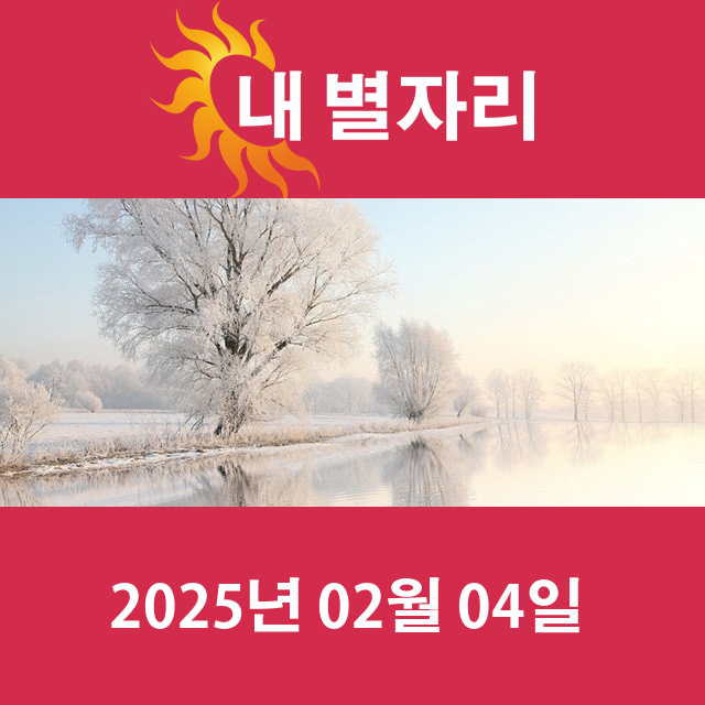 2025년2월4일의 일일 운세 예측