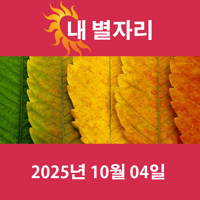 2025년10월4일의 일일 운세 예측