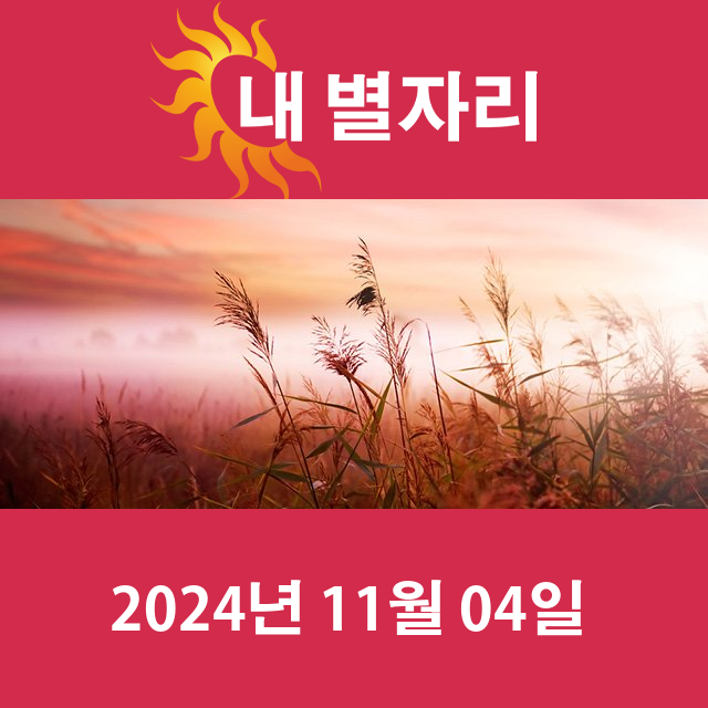 2024년11월4일의 일일 운세 예측