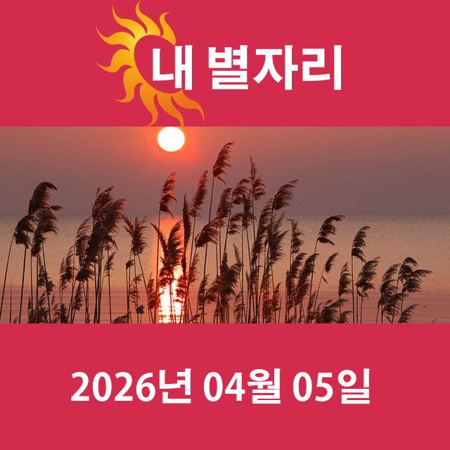 2026년4월5일의 일일 운세 예측