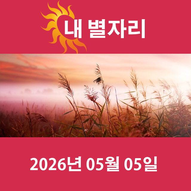 2026년5월5일의 일일 운세 예측