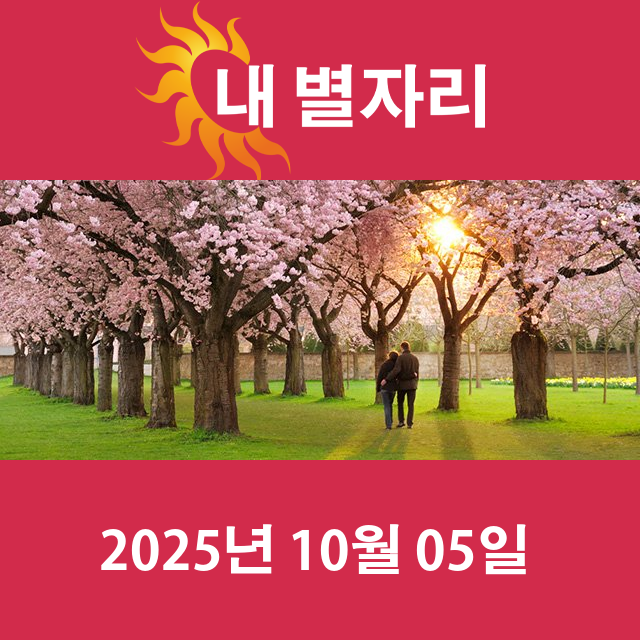2025년10월5일의 일일 운세 예측