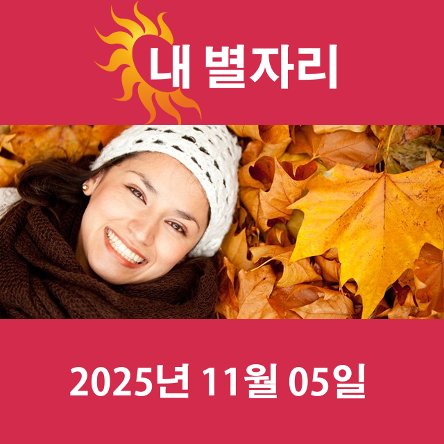 2025년11월5일의 일일 운세 예측