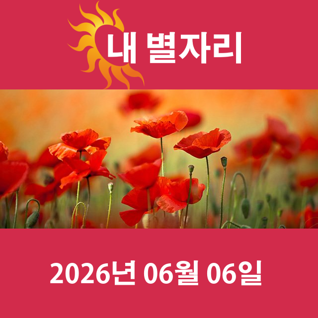 2026년6월6일의 일일 운세 예측