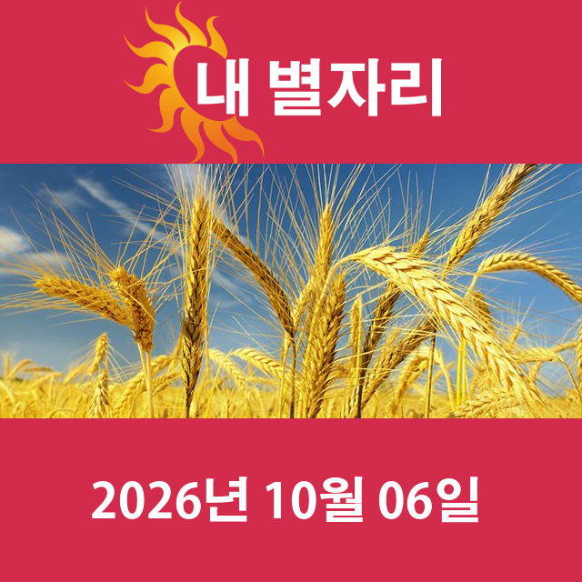 모레의 쌍둥이자리 운세