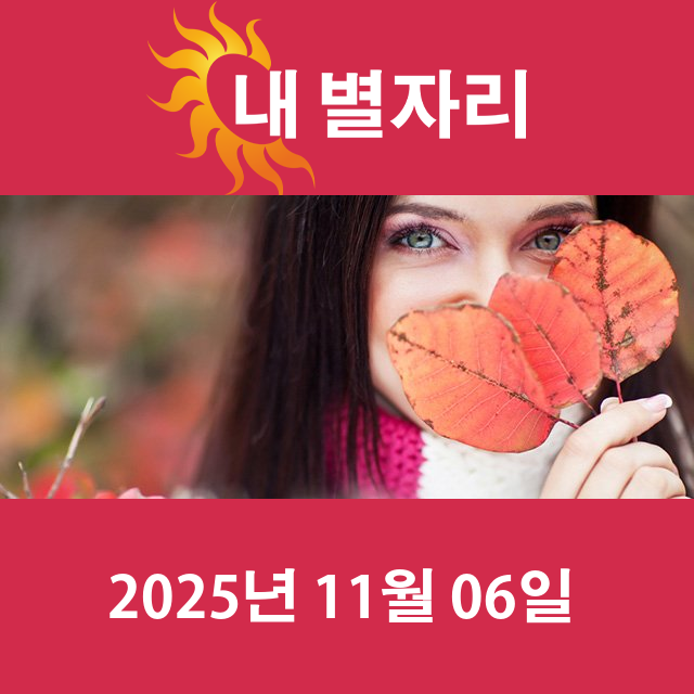 2025년11월6일의 일일 운세 예측