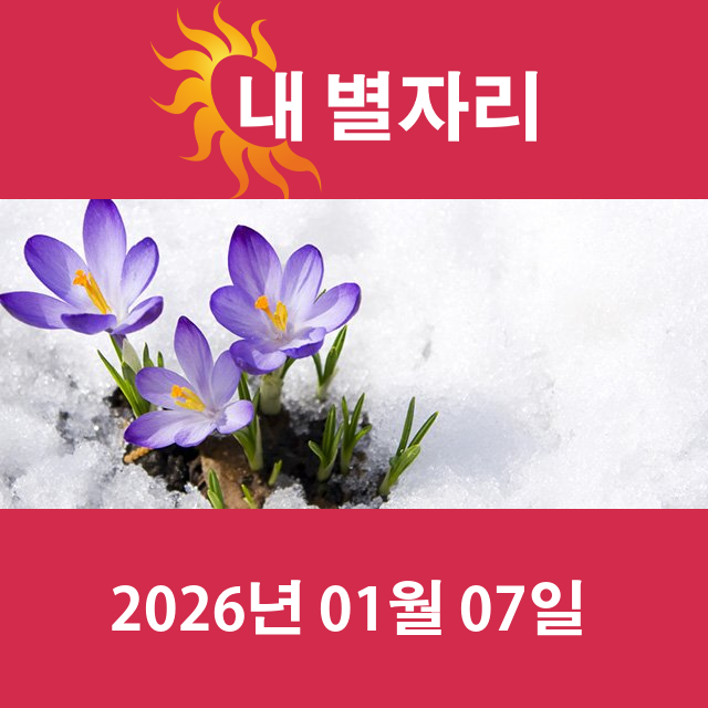 2026년1월7일의 일일 운세 예측