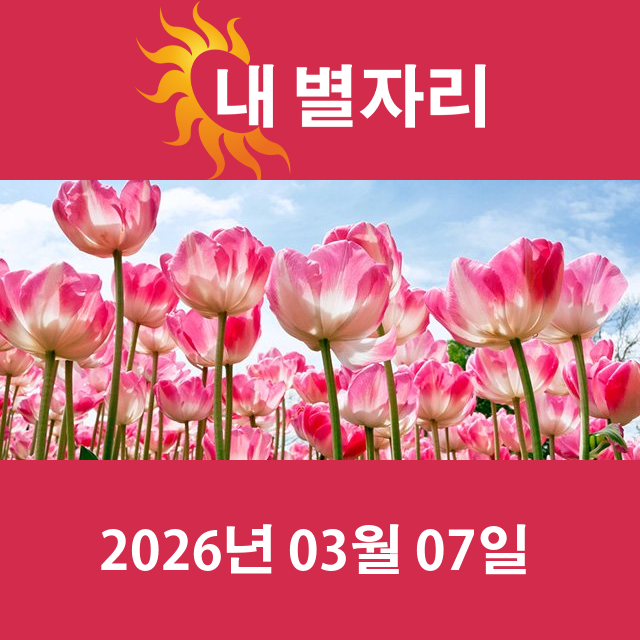 2026년3월7일의 일일 운세 예측