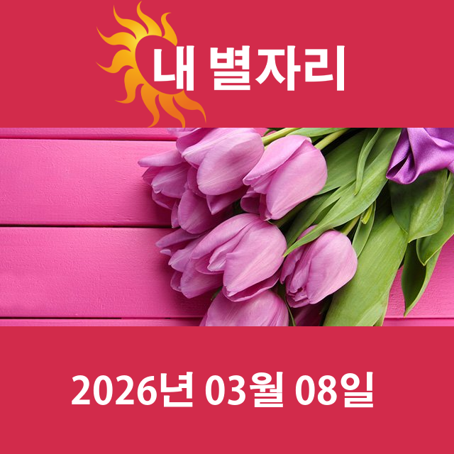 2026년3월8일의 일일 운세 예측