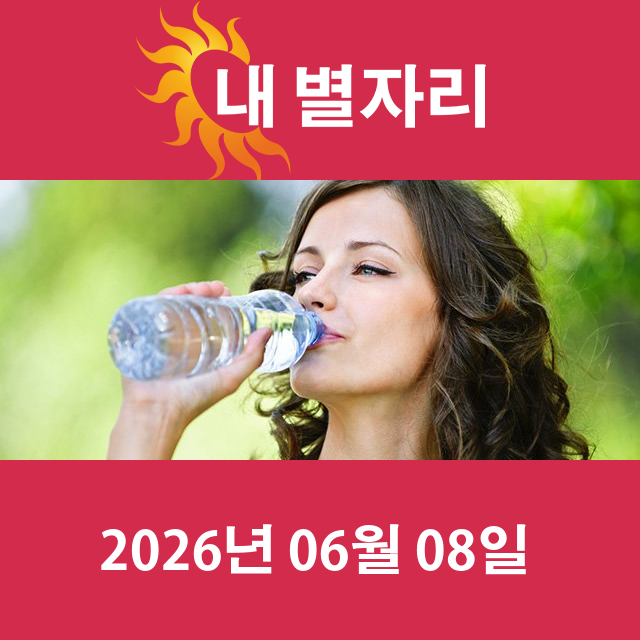 2026년6월8일의 일일 운세 예측