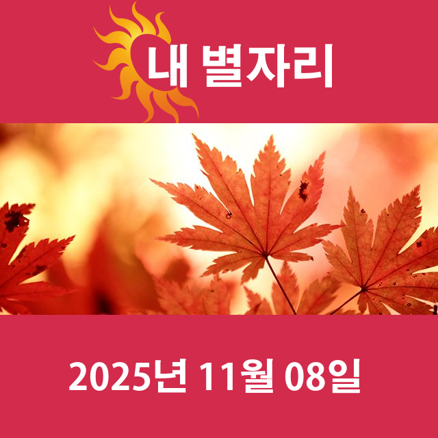 2025년11월8일의 일일 운세 예측