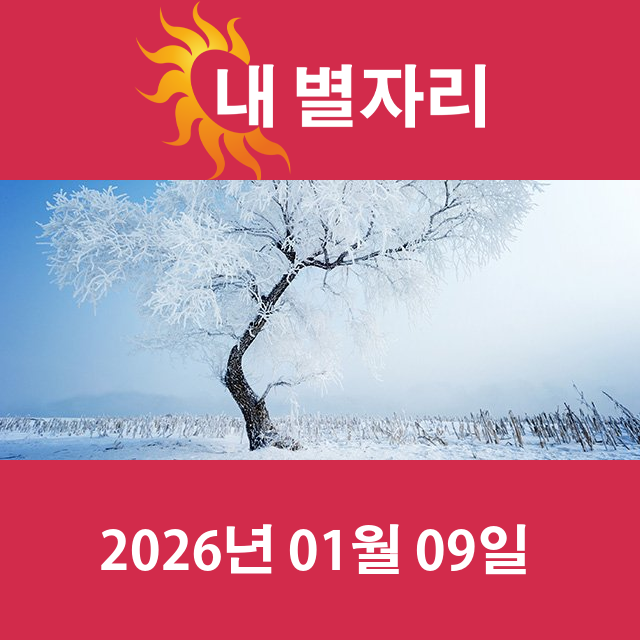 2026년1월9일의 일일 운세 예측