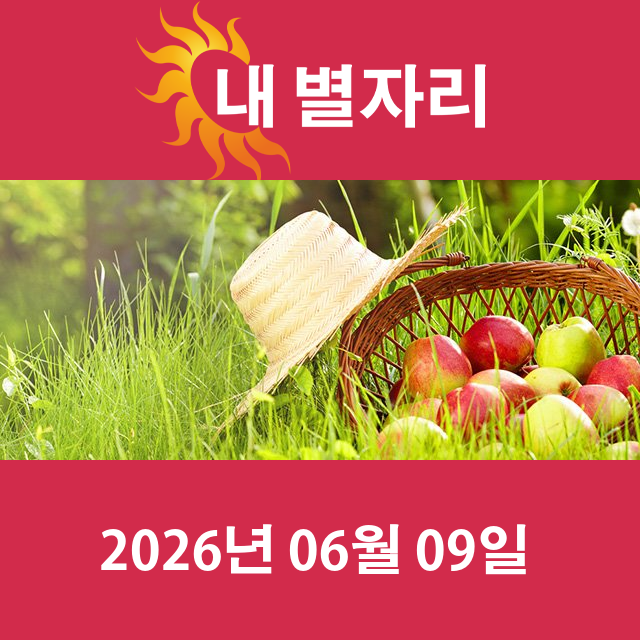 2026년6월9일의 일일 운세 예측