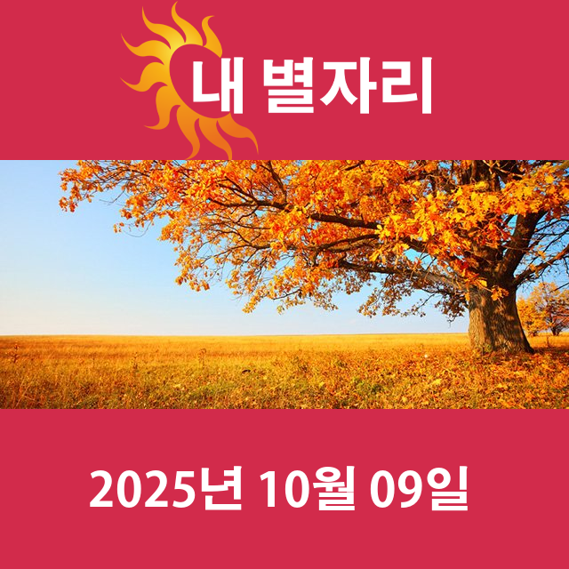 2025년10월9일의 일일 운세 예측