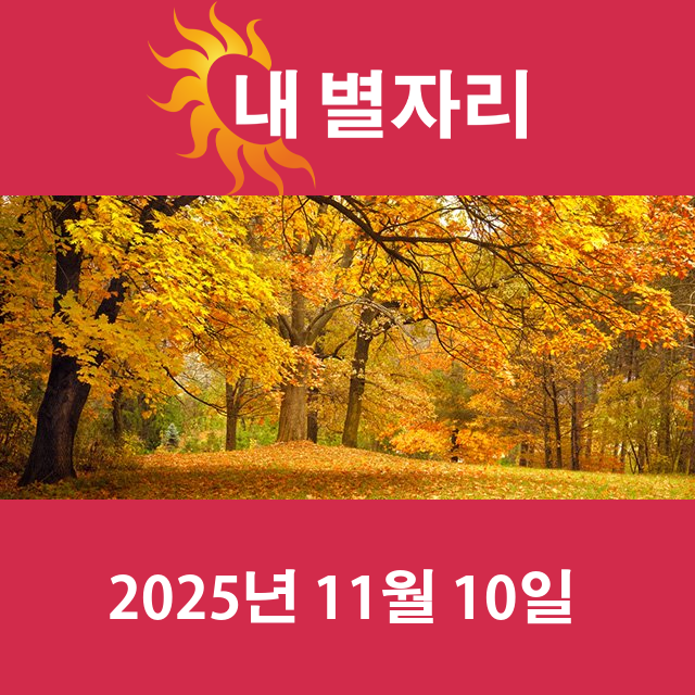 2025년11월10일의 일일 운세 예측