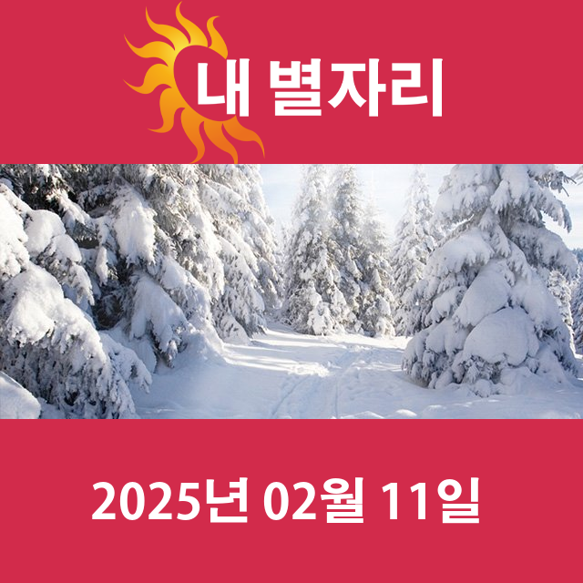 2025년2월11일의 일일 운세 예측