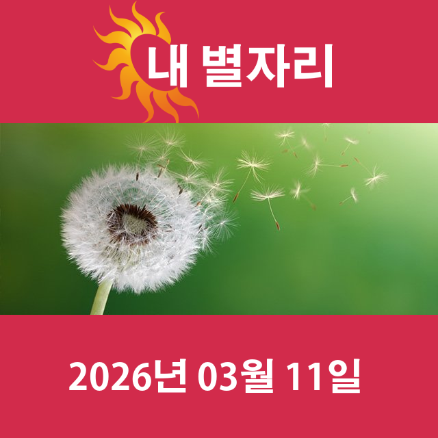 2026년3월11일의 일일 운세 예측