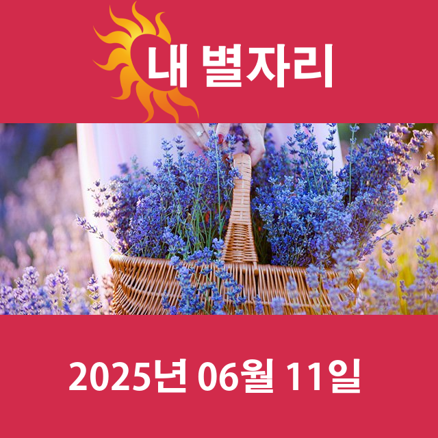 2025년6월11일의 일일 운세 예측