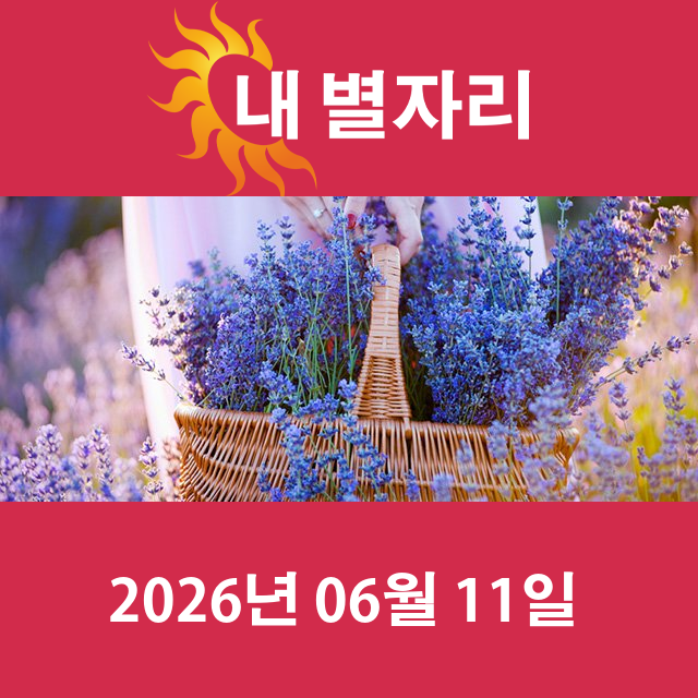 2026년6월11일의 일일 운세 예측