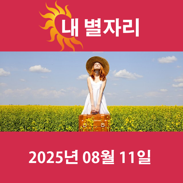 2025년8월11일의 일일 운세 예측