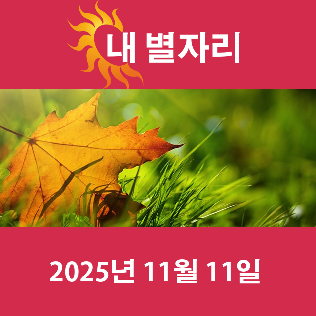 2025년11월11일의 일일 운세 예측