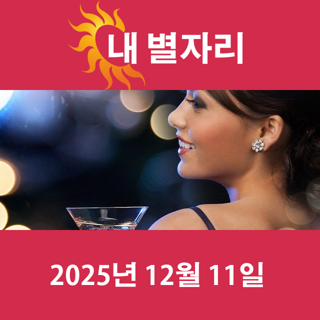 2025년12월11일의 일일 운세 예측