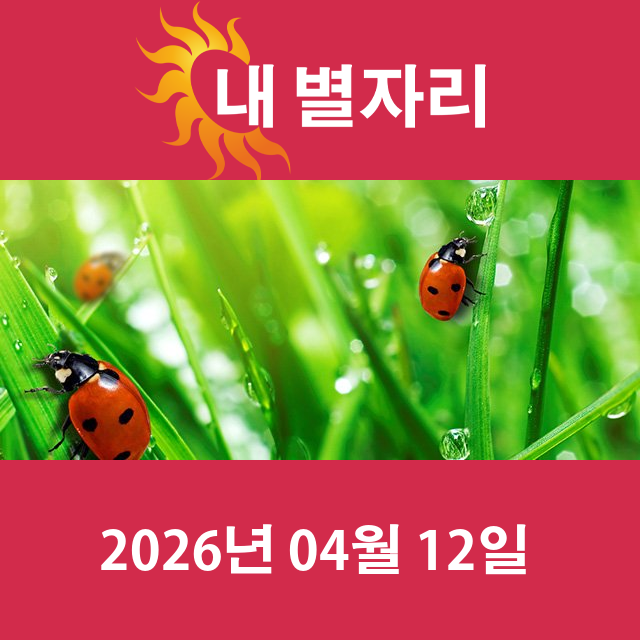 2026년4월12일의 일일 운세 예측