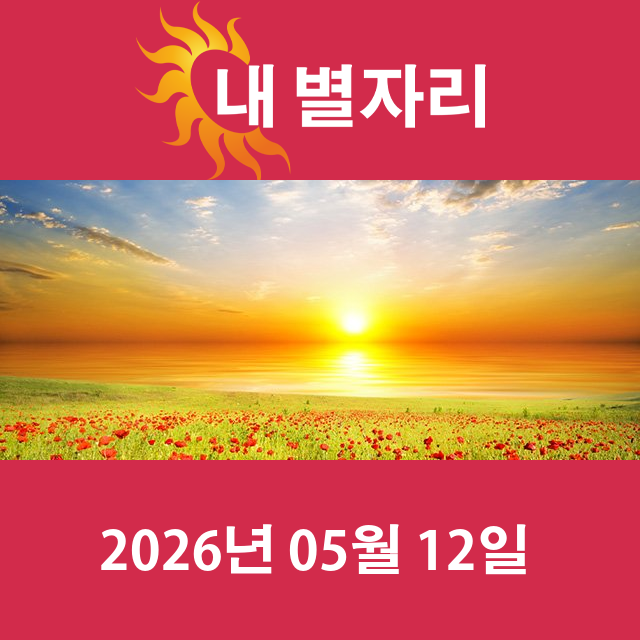 2026년5월12일의 일일 운세 예측