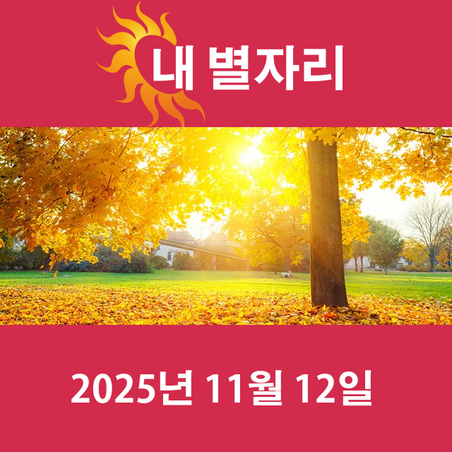 2025년11월12일의 일일 운세 예측