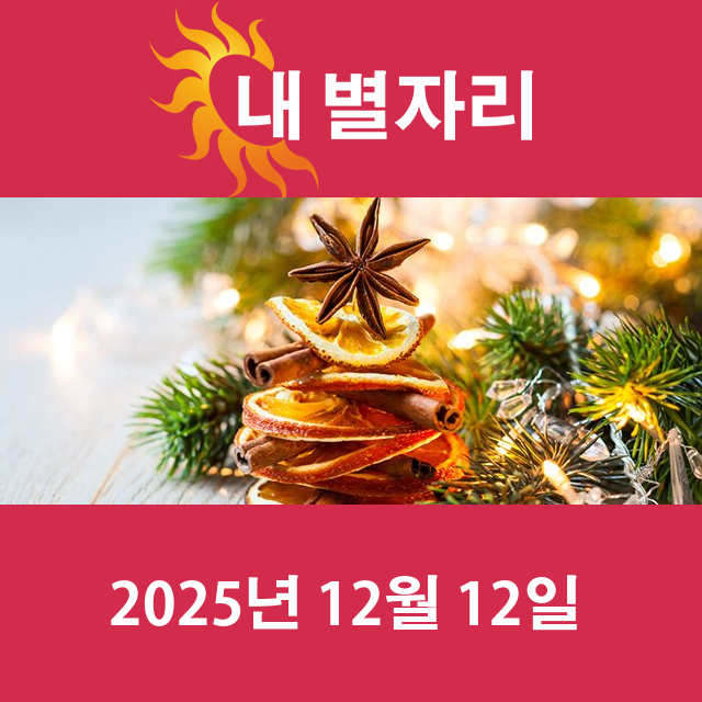 2025년12월12일의 일일 운세 예측
