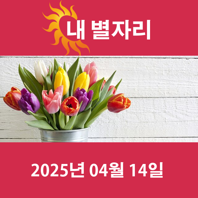 2025년4월14일의 일일 운세 예측