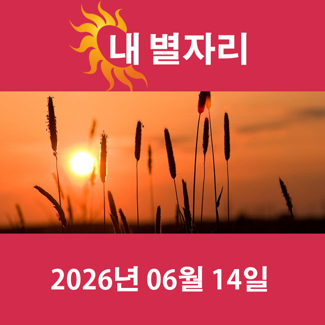 2026년6월14일의 일일 운세 예측