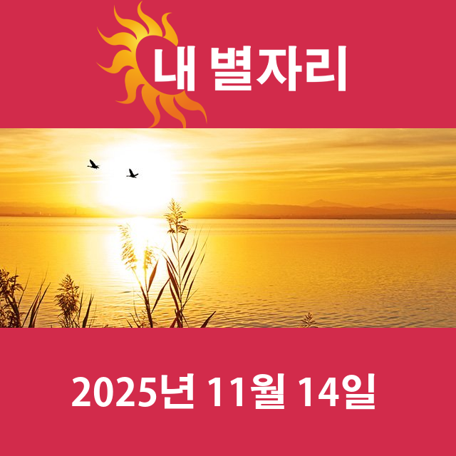2025년11월14일의 일일 운세 예측