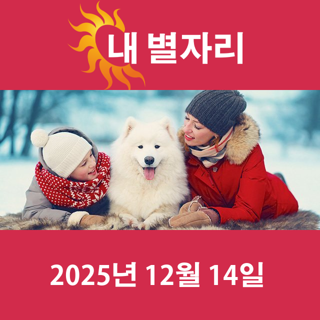 2025년12월14일의 일일 운세 예측