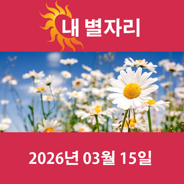 2026년3월15일의 일일 운세 예측