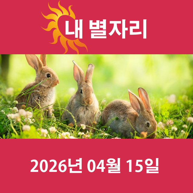 2026년4월15일의 일일 운세 예측