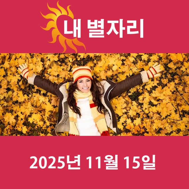 2025년11월15일의 일일 운세 예측