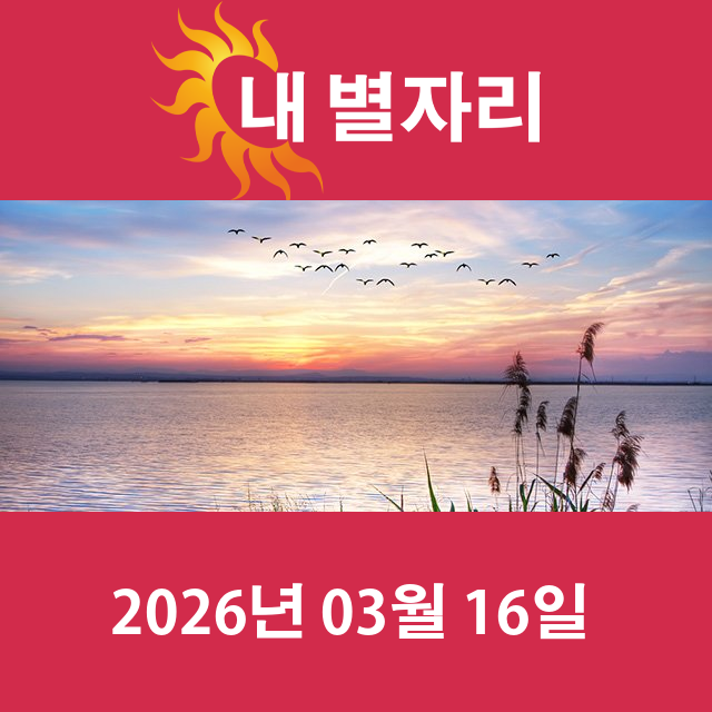 2026년3월16일의 일일 운세 예측