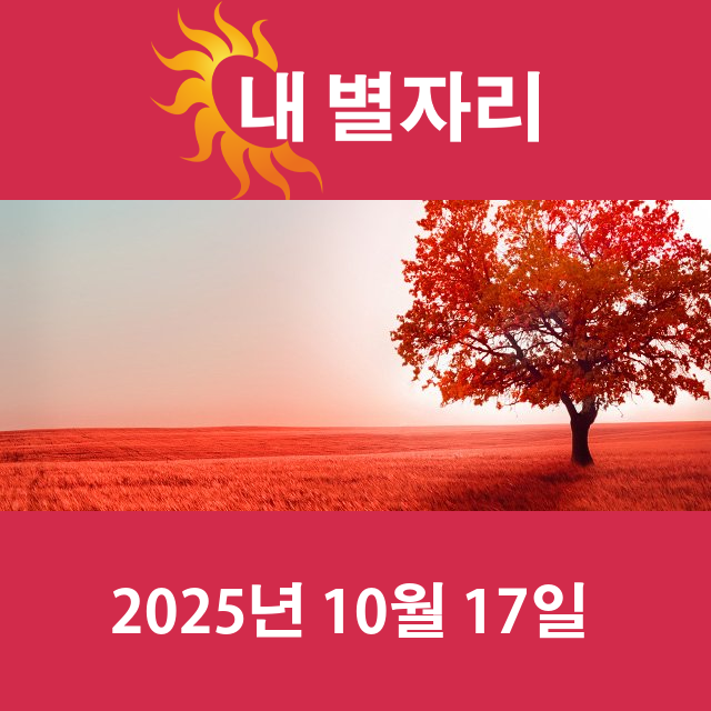 2025년10월17일의 일일 운세 예측
