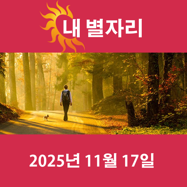 2025년11월17일의 일일 운세 예측