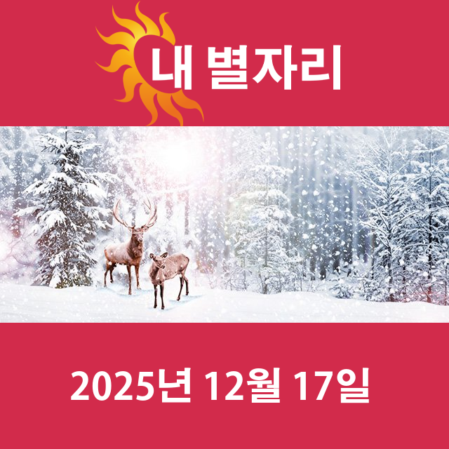 2025년12월17일의 일일 운세 예측
