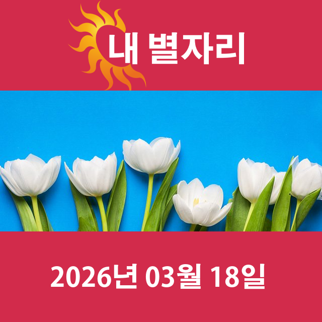 2026년3월18일의 일일 운세 예측