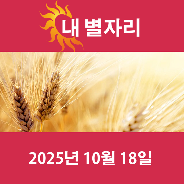 2025년10월18일의 일일 운세 예측