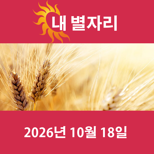 모레의 쌍둥이자리 운세