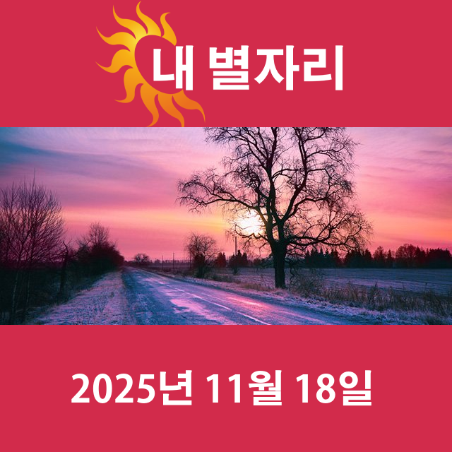 2025년11월18일의 일일 운세 예측