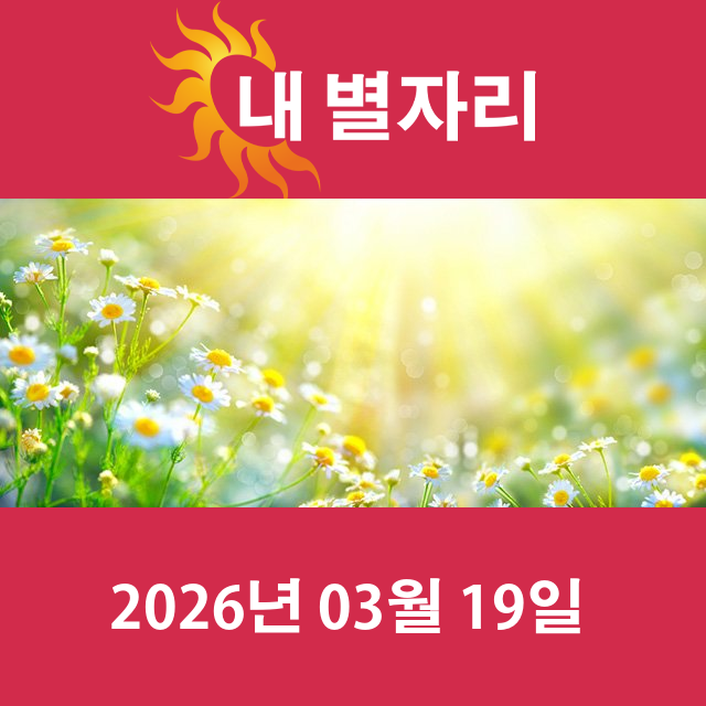 2026년3월19일의 일일 운세 예측