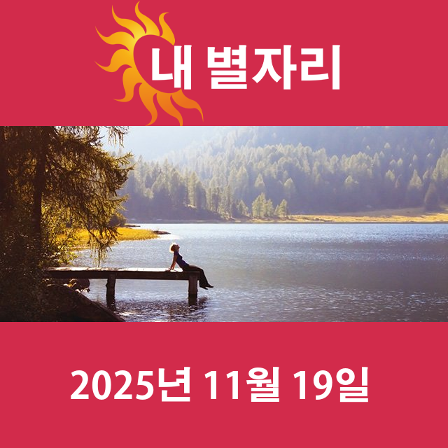 2025년11월19일의 일일 운세 예측