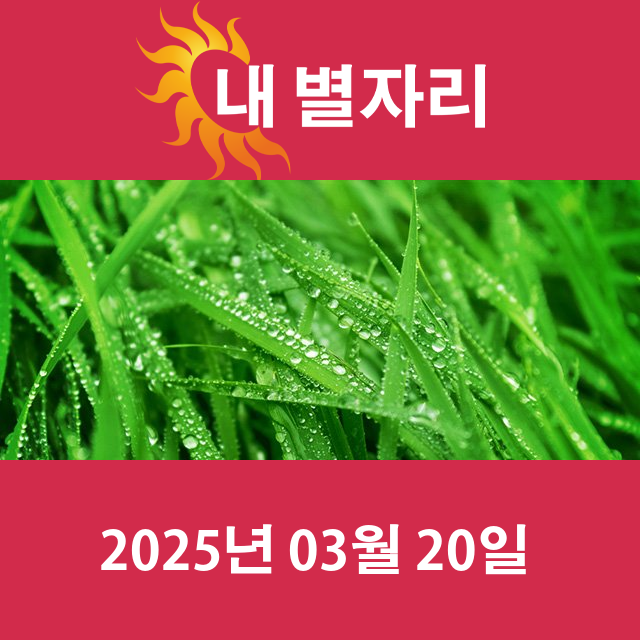 2025년3월20일의 일일 운세 예측
