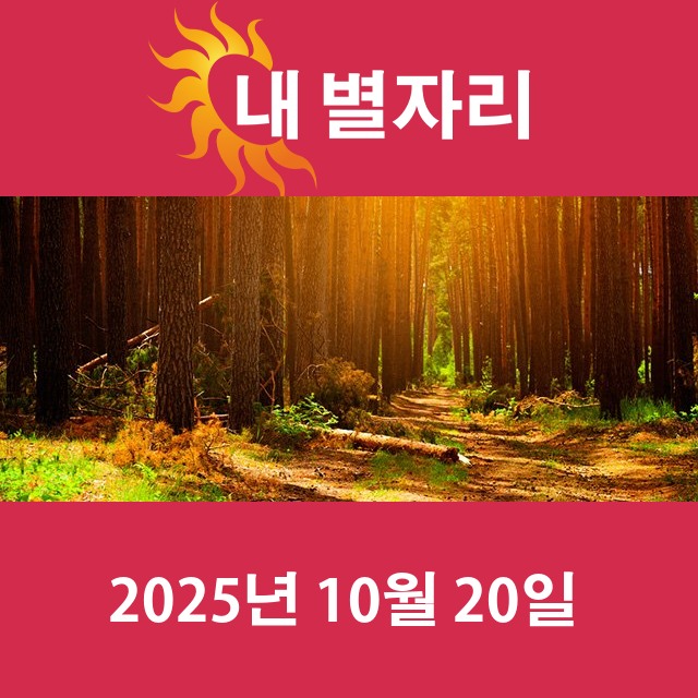 2025년10월20일의 일일 운세 예측