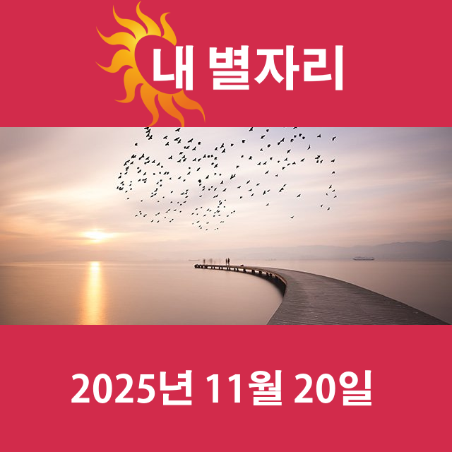 2025년11월20일의 일일 운세 예측